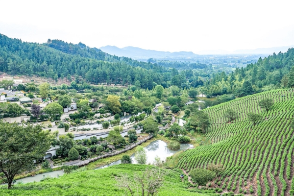 安吉龙山源 (1).jpg