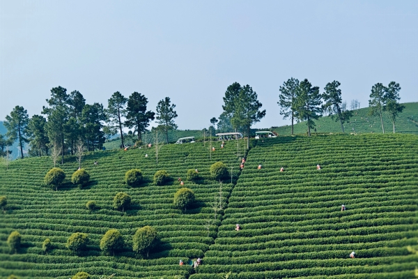 安吉龙山源 (2).jpg