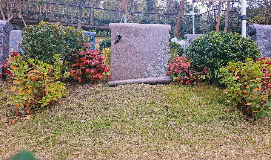 径山竹茶园 7.jpg