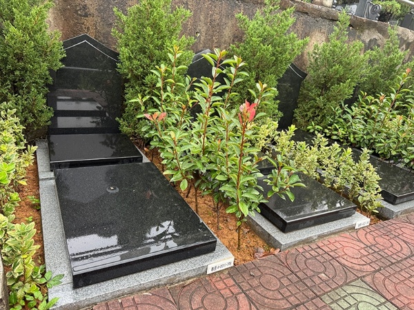 立碑三穴前后.jpg